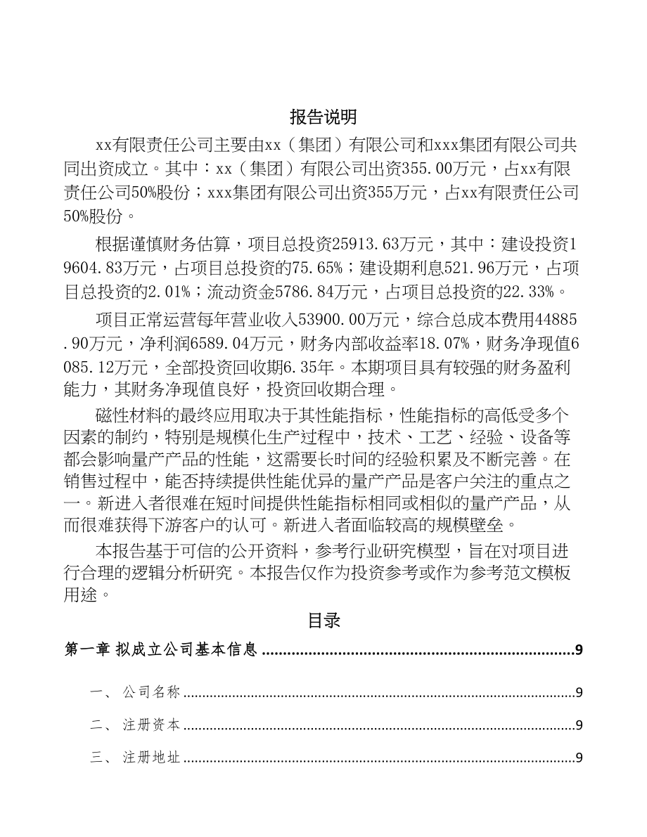 兰州关于成立合金软磁粉公司可行性研究报告(DOC 87页)_第2页