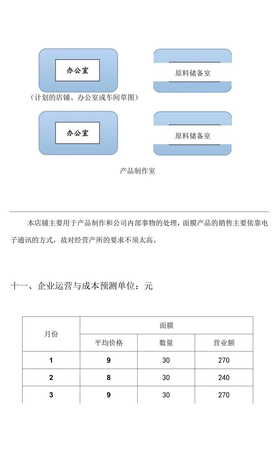 天然DIY面膜创业计划书样本(共21页).docx_第5页