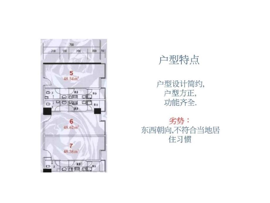 长沙劳动路项目发展研究与整体营销策划报告3_第2页