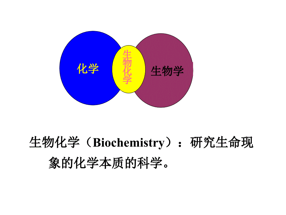 生物化学：第一章 绪论_第4页