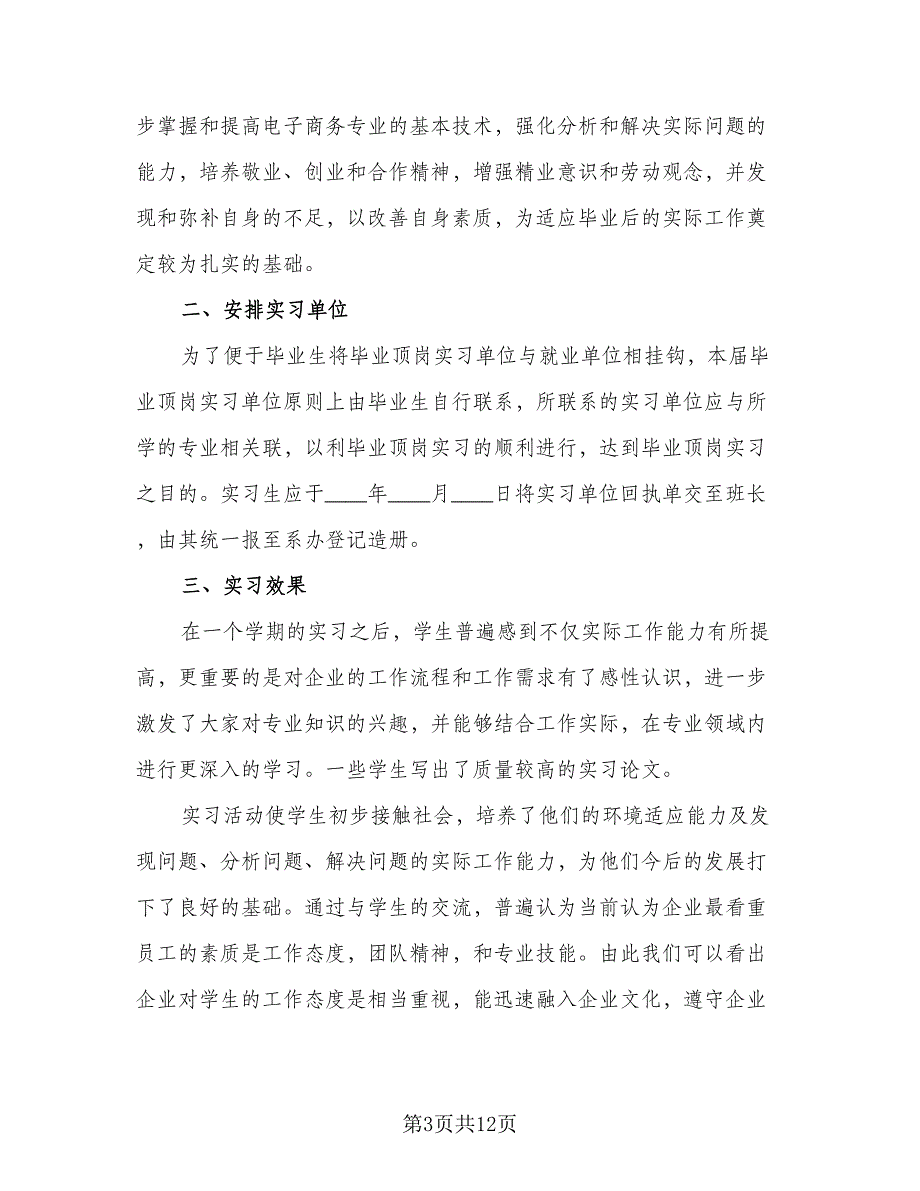 2023年电子商务实习总结标准版（六篇）.doc_第3页