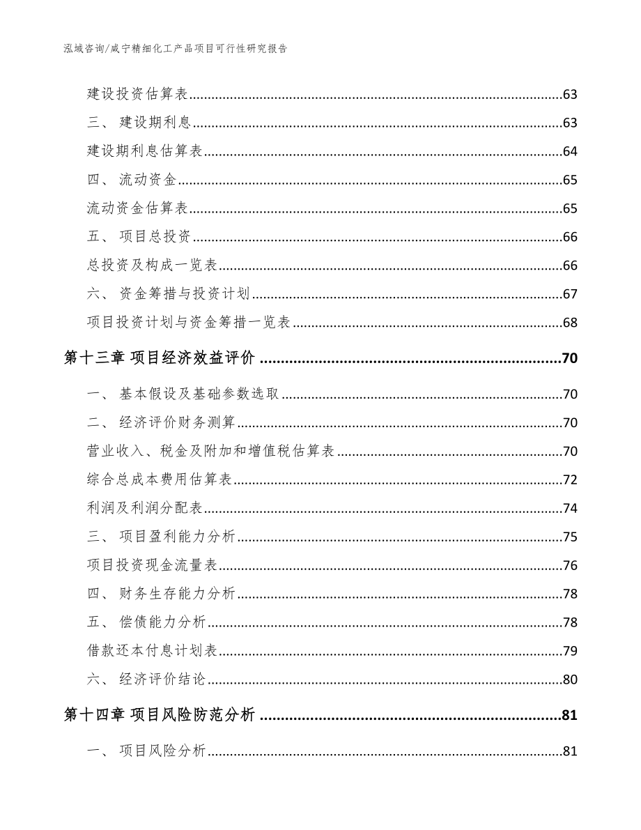 咸宁精细化工产品项目可行性研究报告（模板范本）_第4页