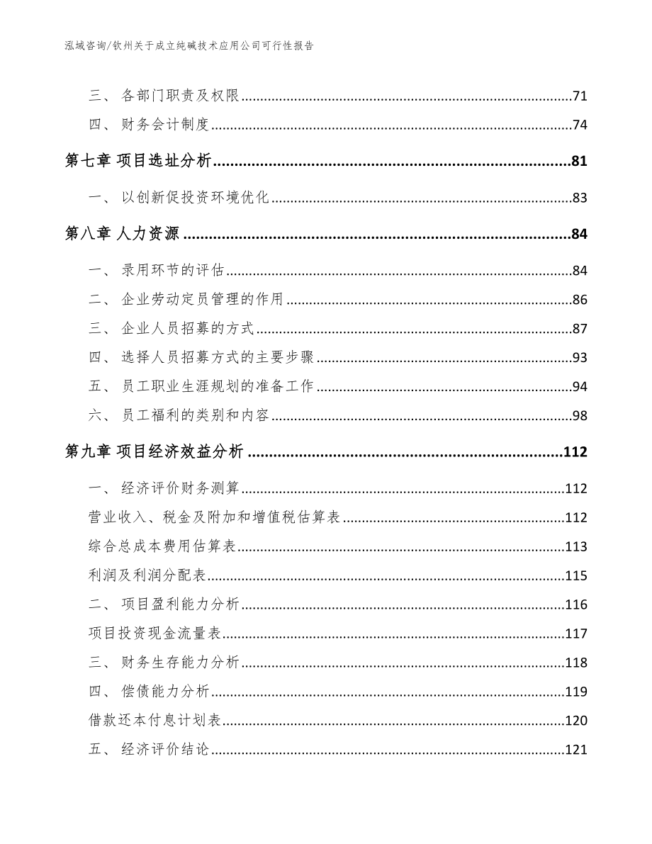 钦州关于成立纯碱技术应用公司可行性报告_第4页