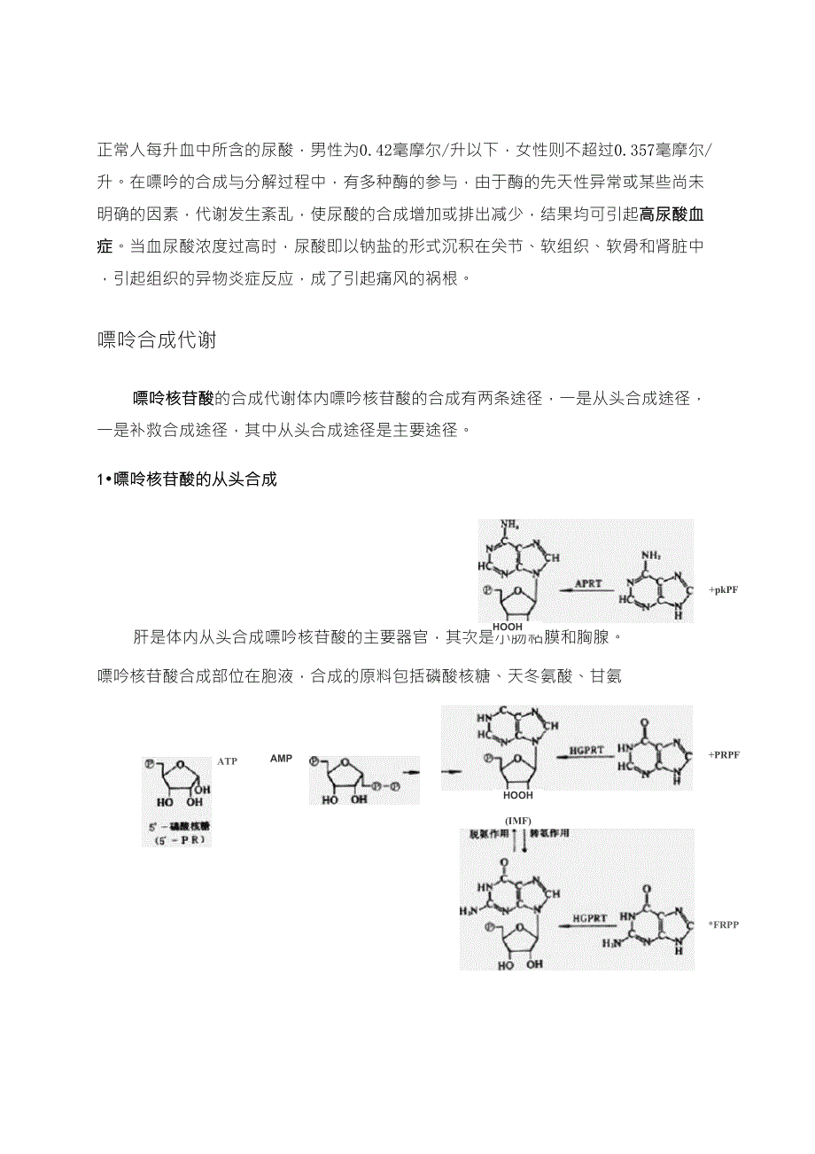 嘌呤及嘌呤代谢_第2页