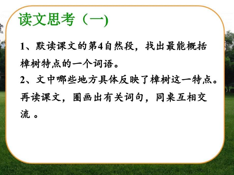 四年级语文下册第七组2宋庆龄故居的樟树第二课时课件_第5页