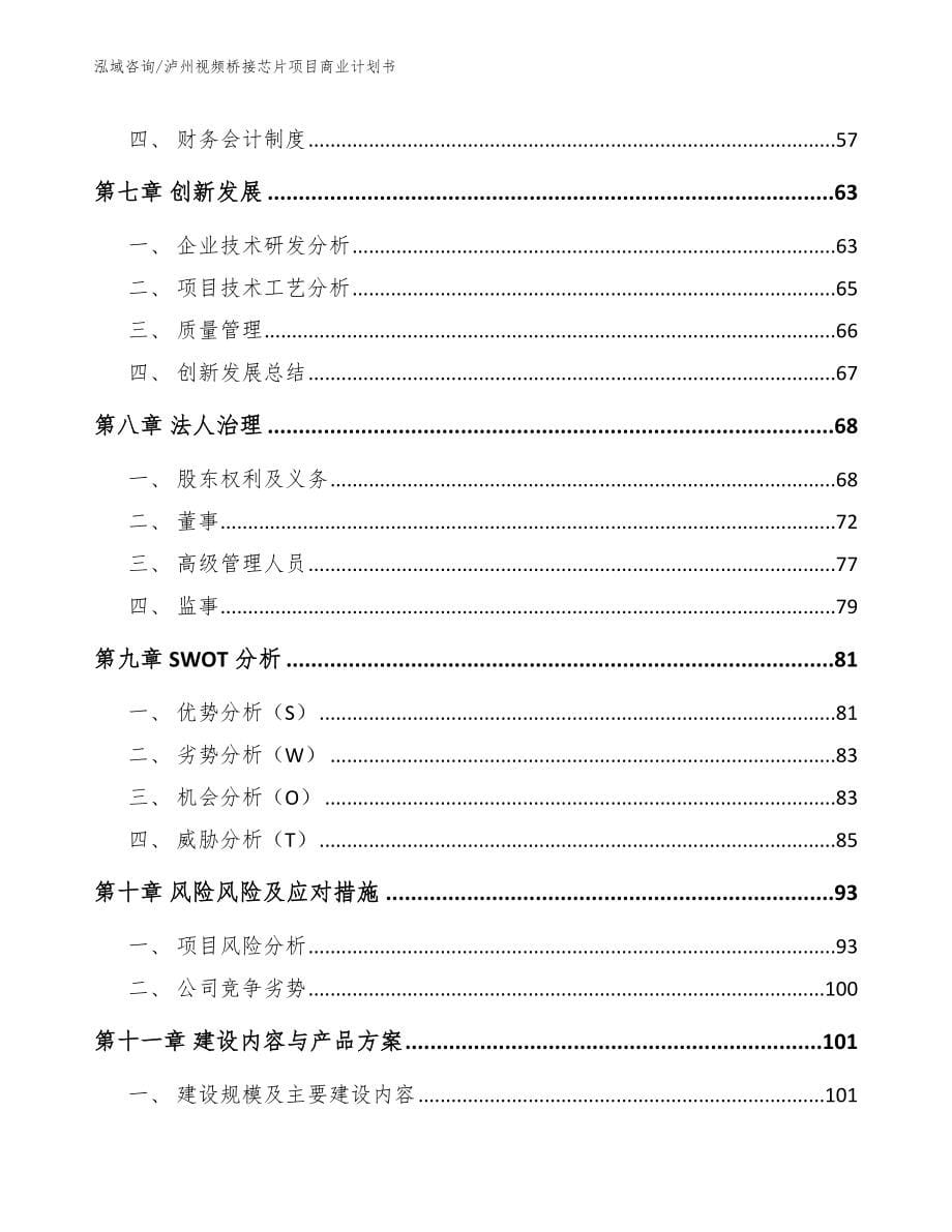 泸州视频桥接芯片项目商业计划书_第5页