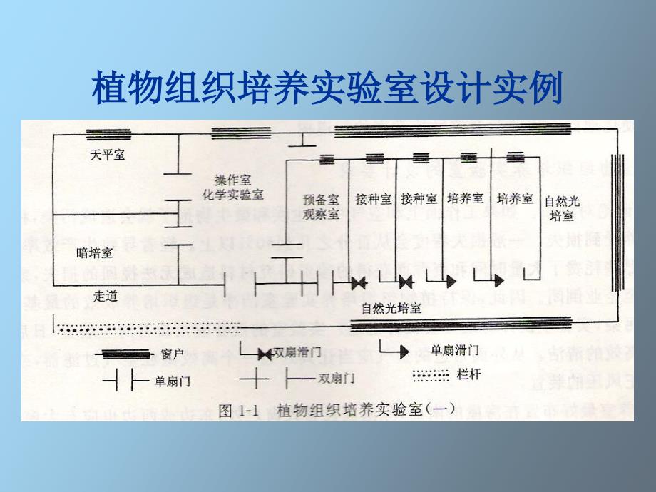 植物组织培养实验室的设计与设备_第4页