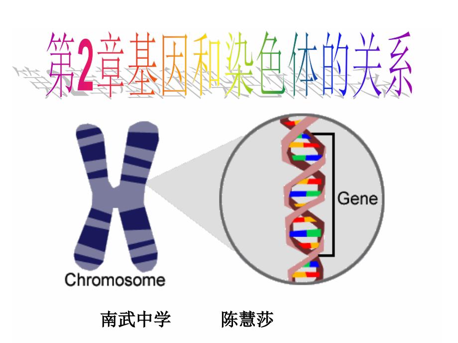 人教版教学课件人教版必修二21减数分裂课件_第1页