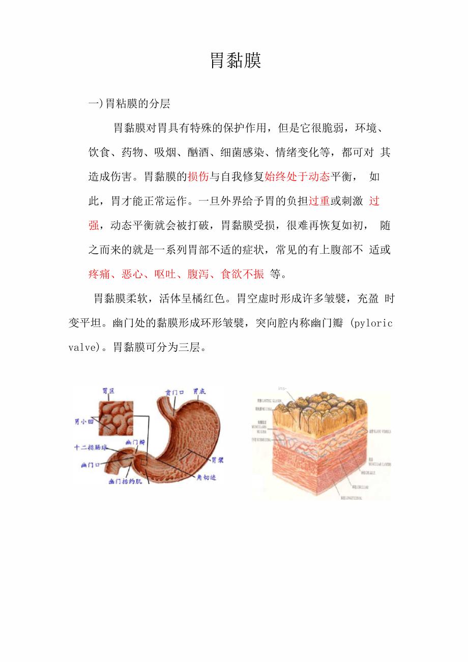 胃黏膜的功能和机制 陈亮 安庆医药_第1页