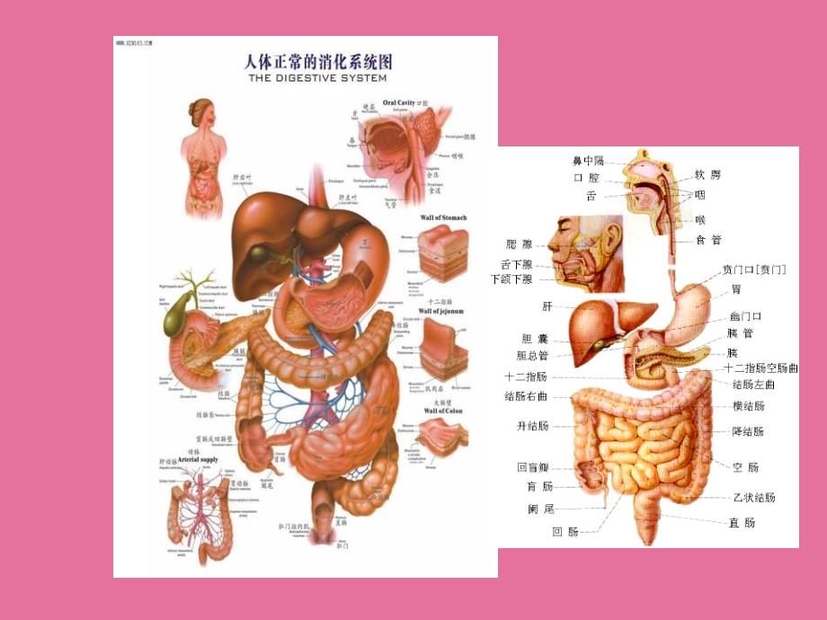 X线造检查ppt课件_第3页