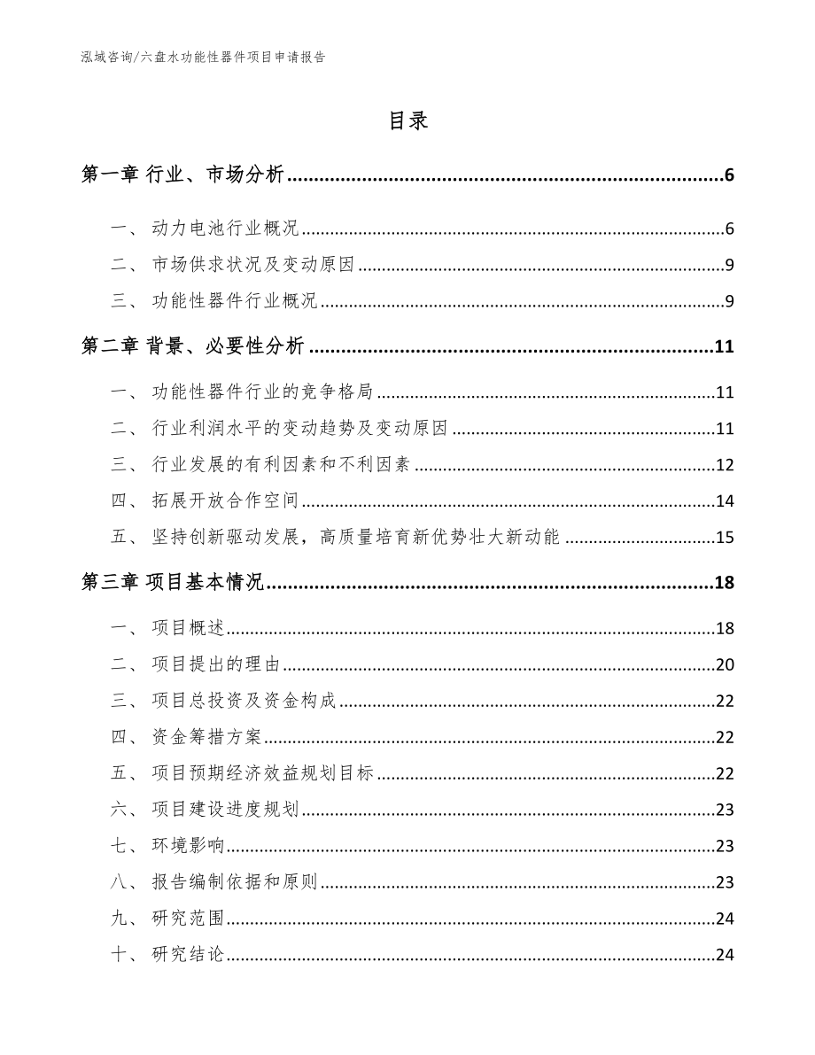 六盘水功能性器件项目申请报告_范文_第1页