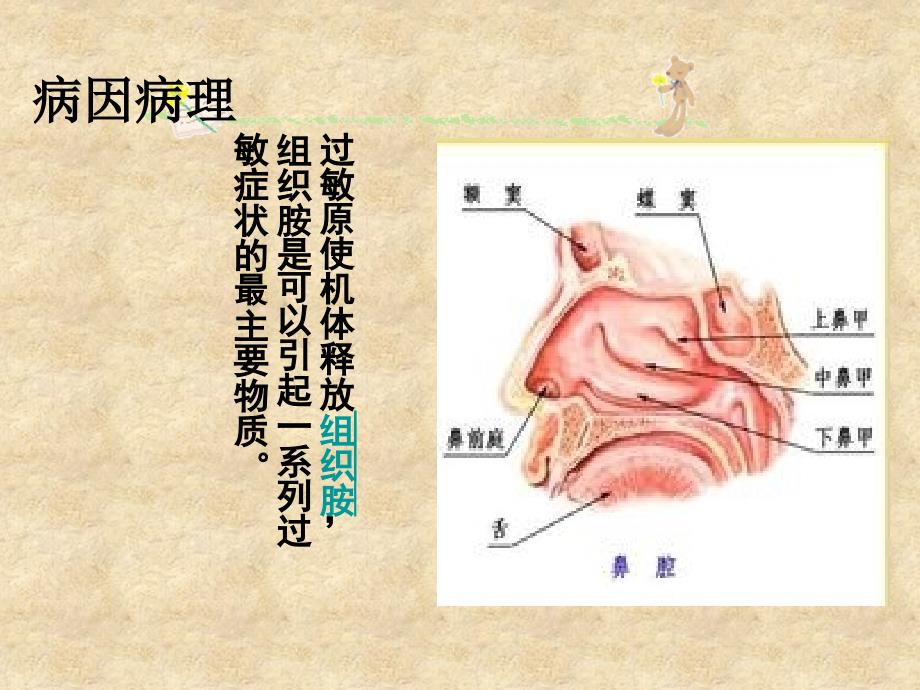 过敏性鼻炎预防及治疗ppt课件_第4页