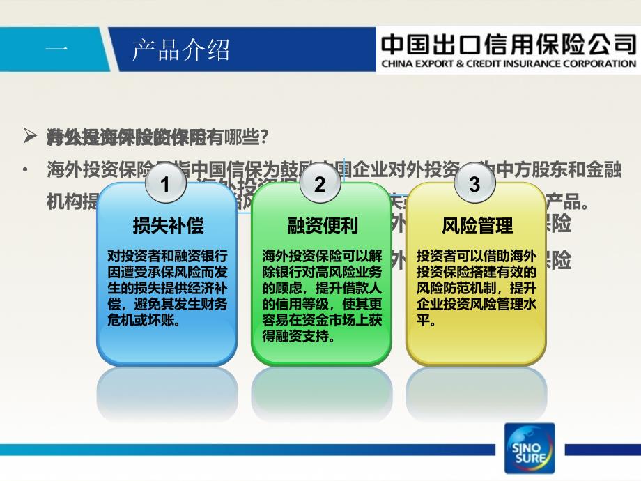 中信保项目险_第3页