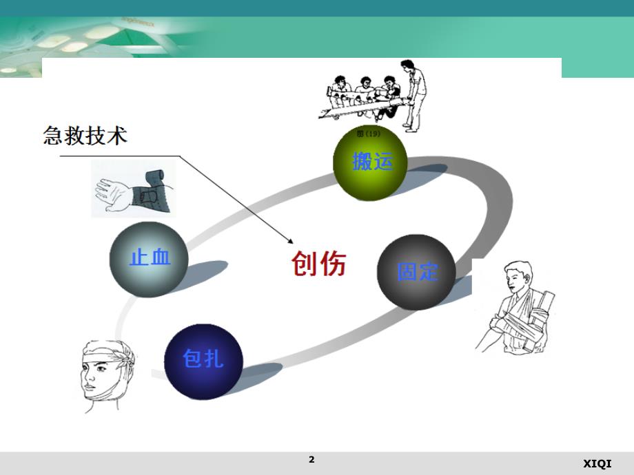 止血、包扎、固定、搬运术_第2页