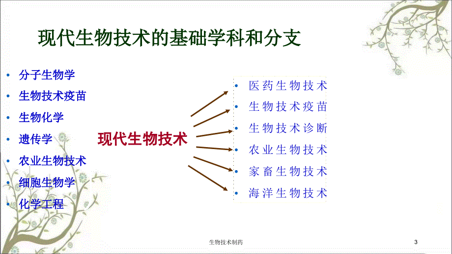 生物技术制药课件_第3页