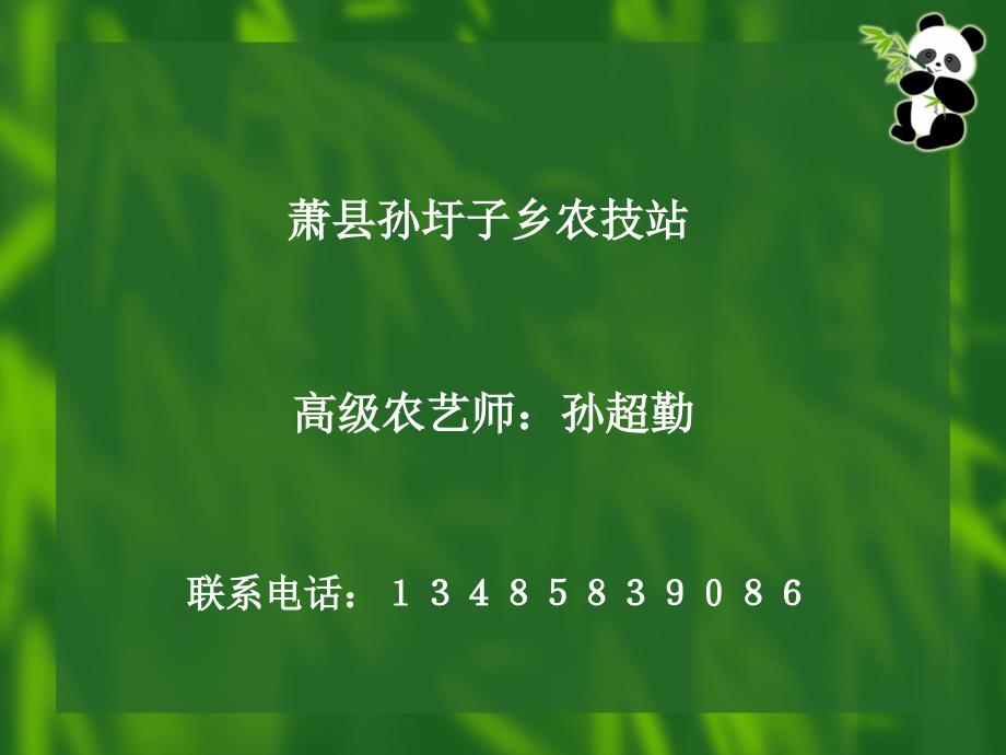 胡萝卜栽培技术PPT课件_第2页