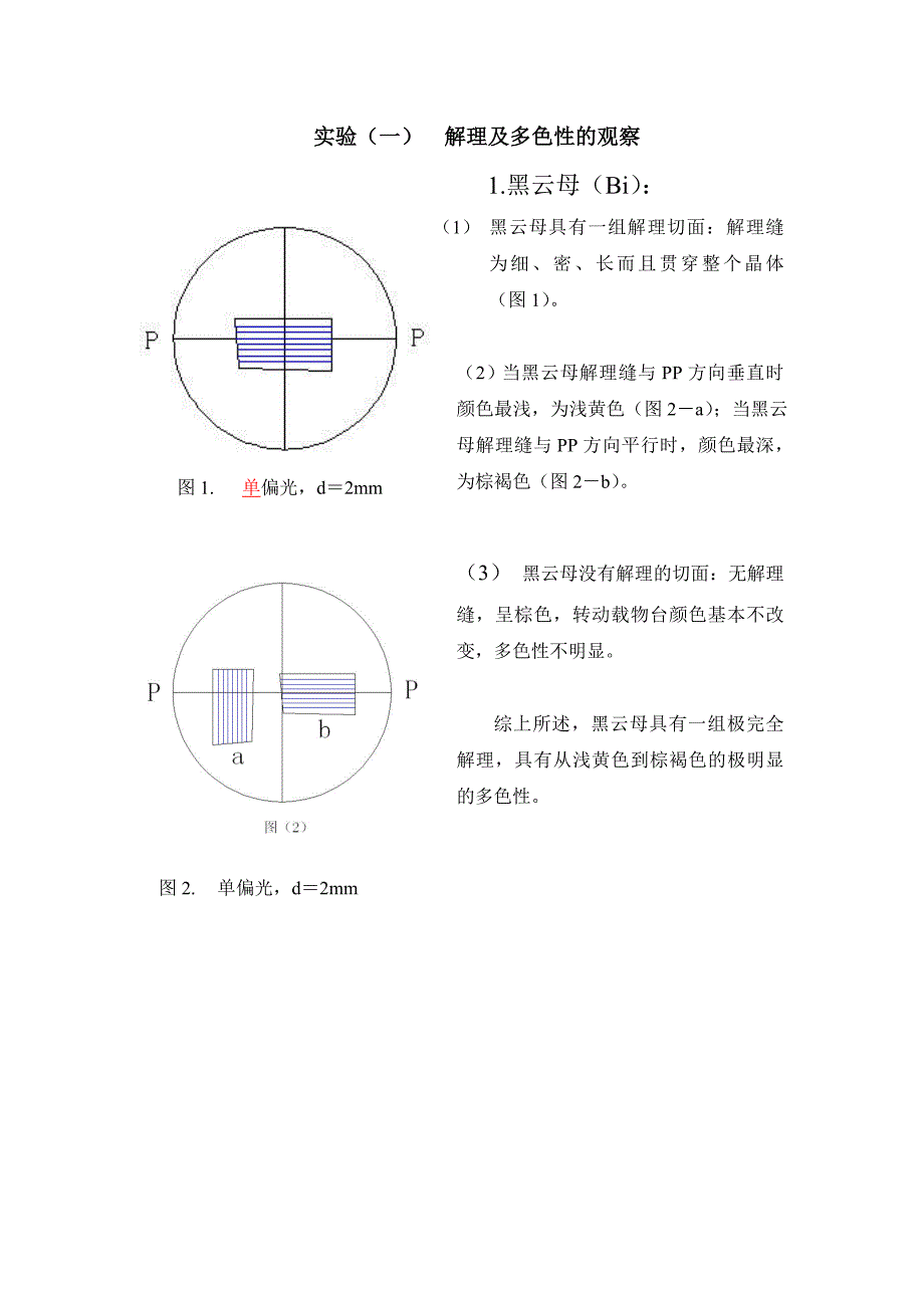 晶体光学相关资料.doc_第1页