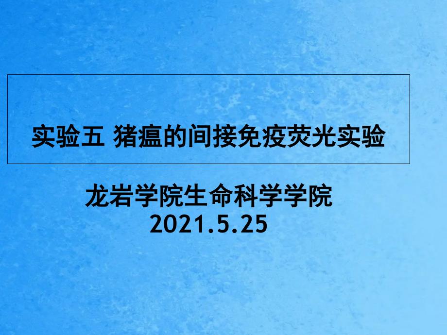 猪瘟的间接免疫荧光实验ppt课件_第1页