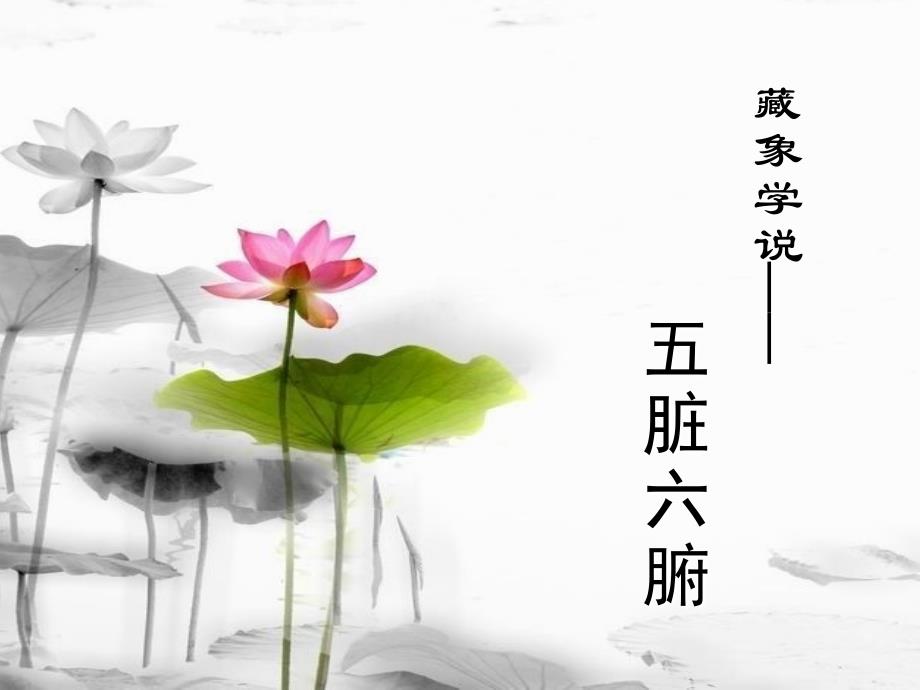 五脏六ppt课件_第1页