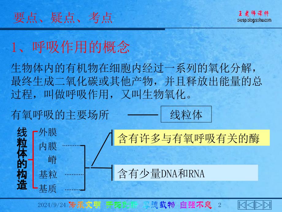 呼吸水代谢光合效率ppt课件_第2页