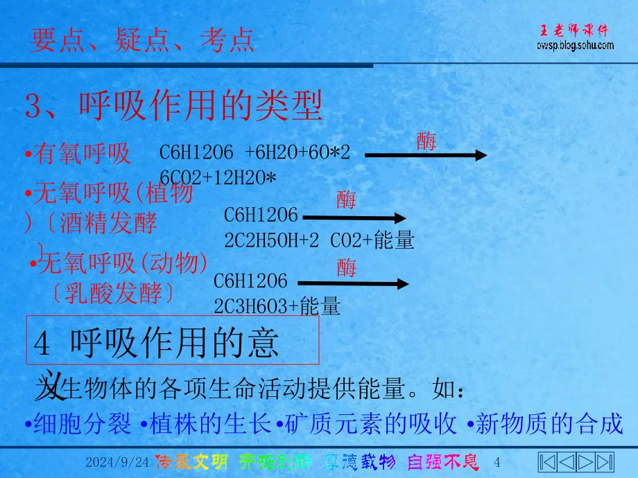 呼吸水代谢光合效率ppt课件_第4页