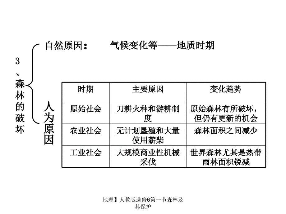 地理人教版选修6第一节森林及其保护课件_第5页