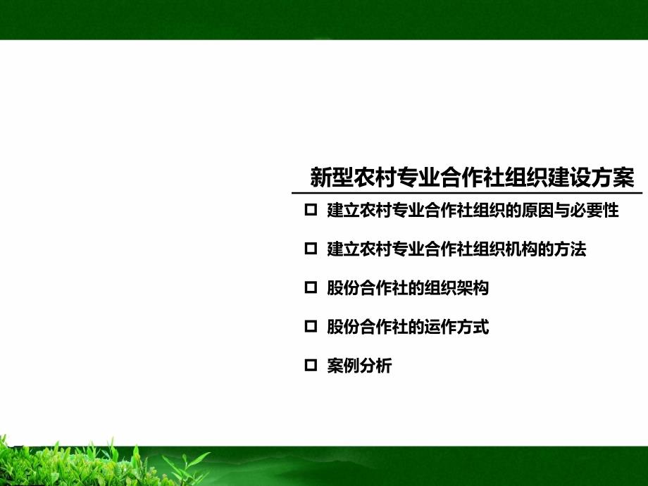 新型农村专业合作社组织建设方案课件_第1页