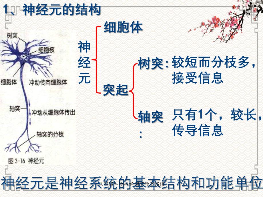 八年级生物神经调节教案浅谈_第4页