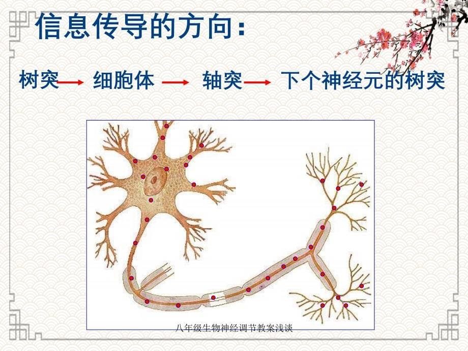 八年级生物神经调节教案浅谈_第5页