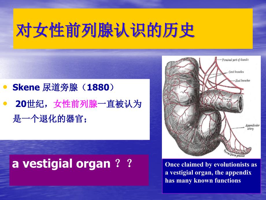 女性前列腺炎_第4页