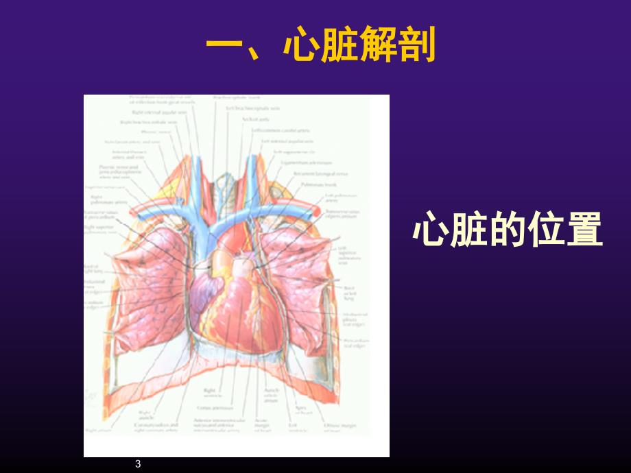 超声心动图正常ppt课件_第3页