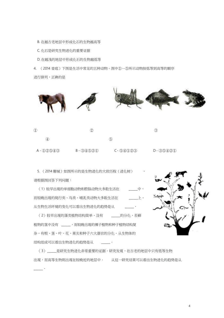 八年级生物下册7.3.2生物进化的历程练习新版新人教版_第4页