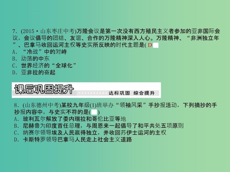 九年级历史下册 第17课 非洲独立浪潮和拉丁美洲国家维护主权的斗争课件 川教版.ppt_第5页