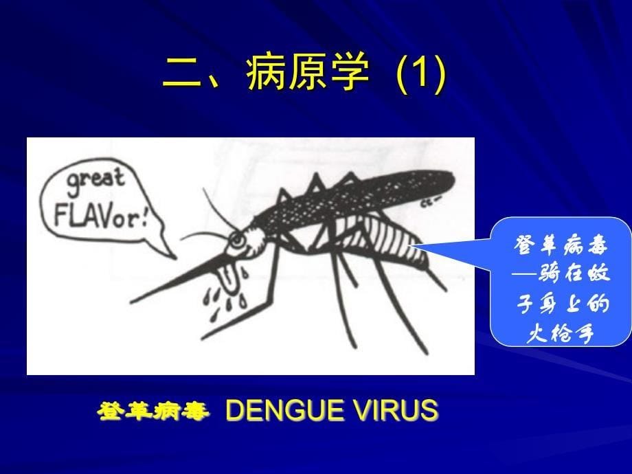 登革热诊断与治疗原则 ppt课件_第5页