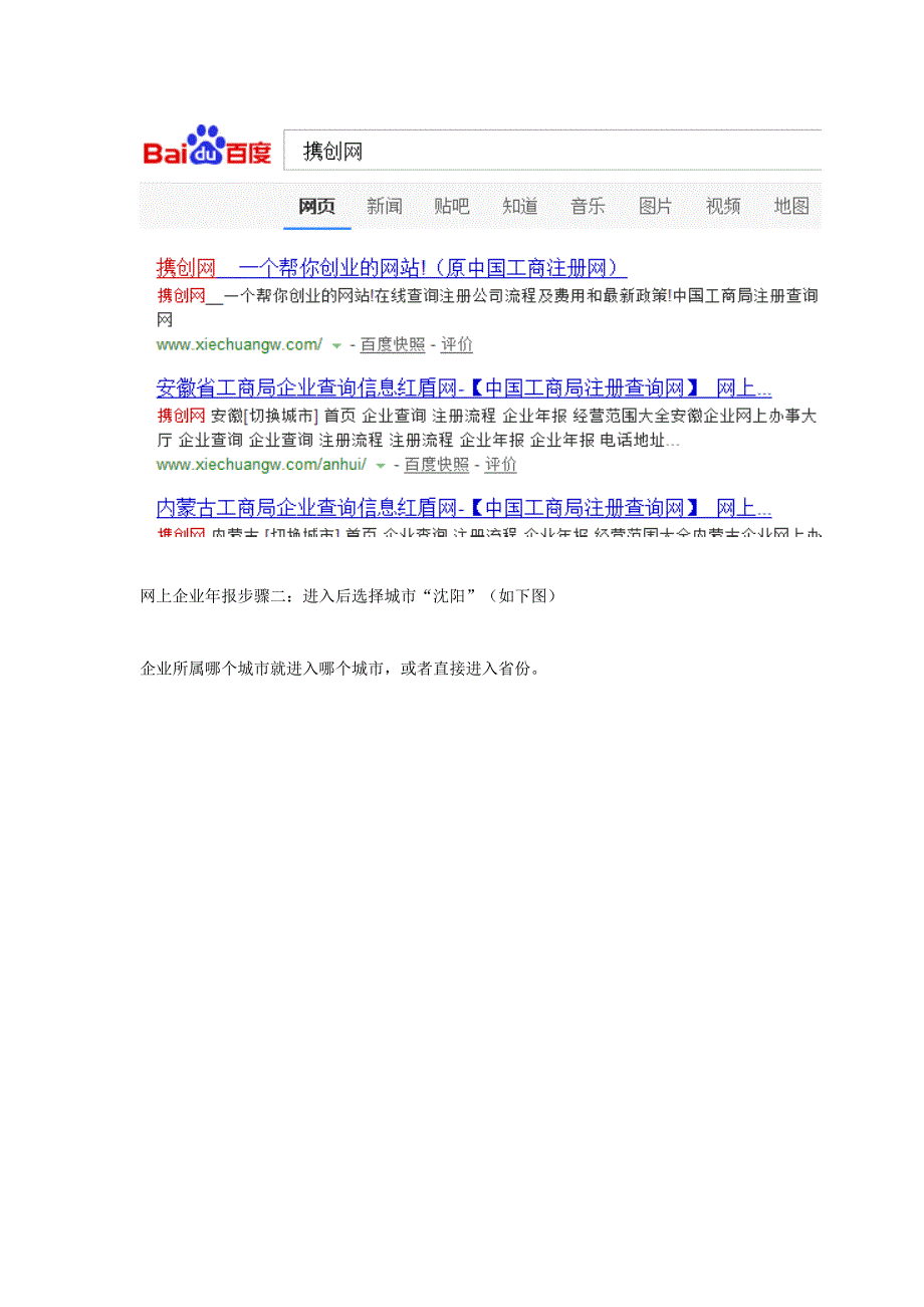 沈阳红盾网网上工商年检系统操作流程(最新版).doc_第2页