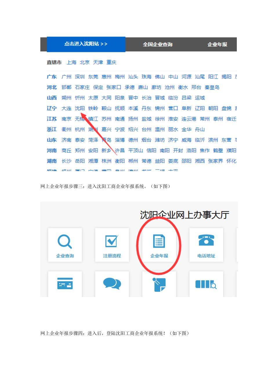 沈阳红盾网网上工商年检系统操作流程(最新版).doc_第3页