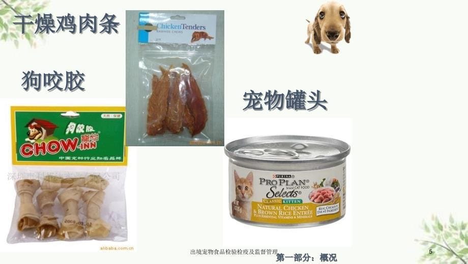 出境宠物食品检验检疫及监督管理课件_第5页