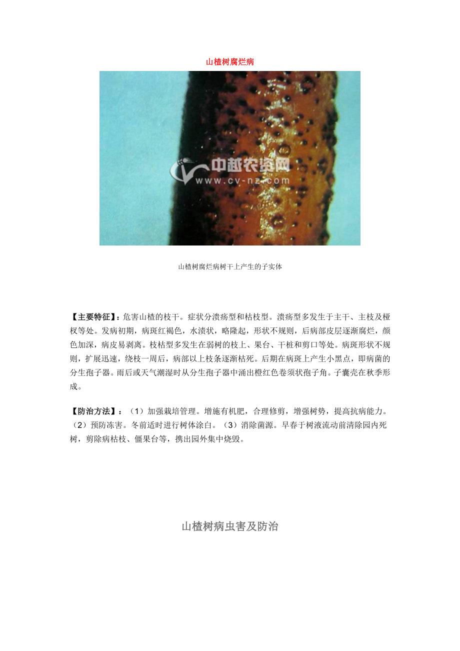 山楂树常见病及防治.doc_第1页