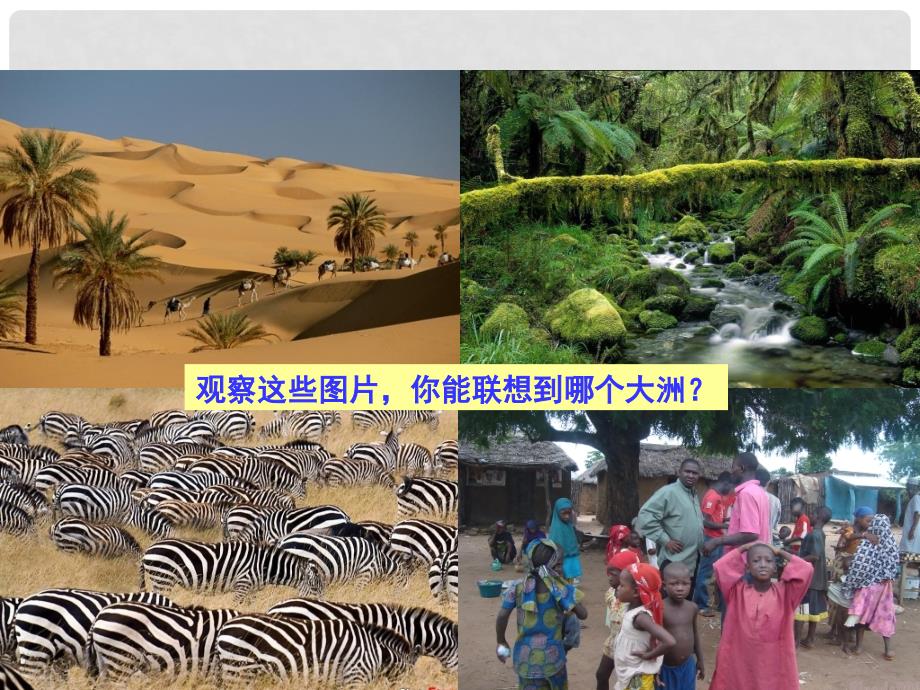山东省滨州市邹平实验中学七年级地理下册《非洲位置、地形》课件 新人教版_第1页