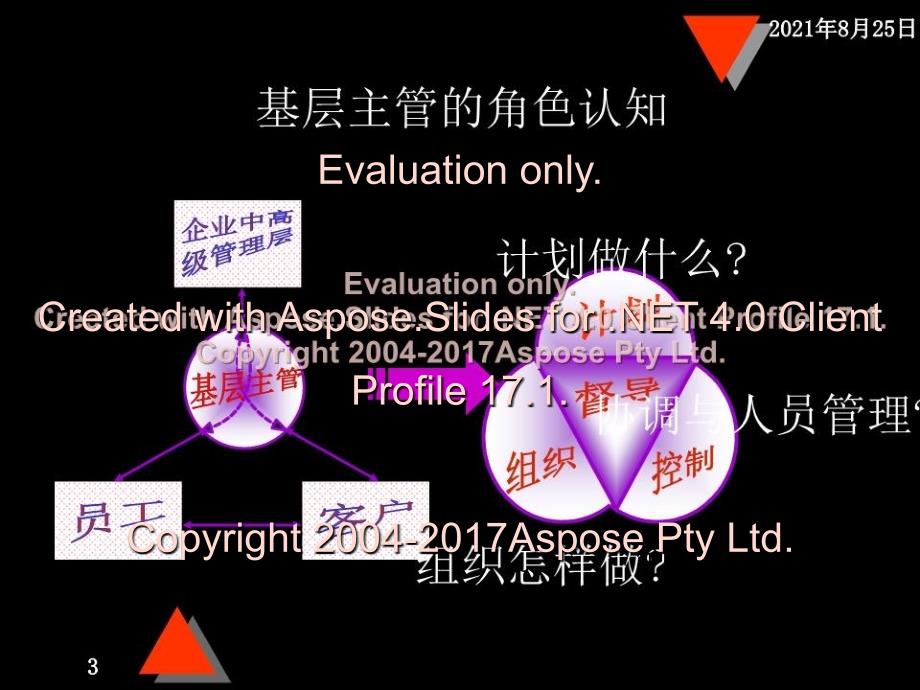 中层主管管理技能提升教程_第3页