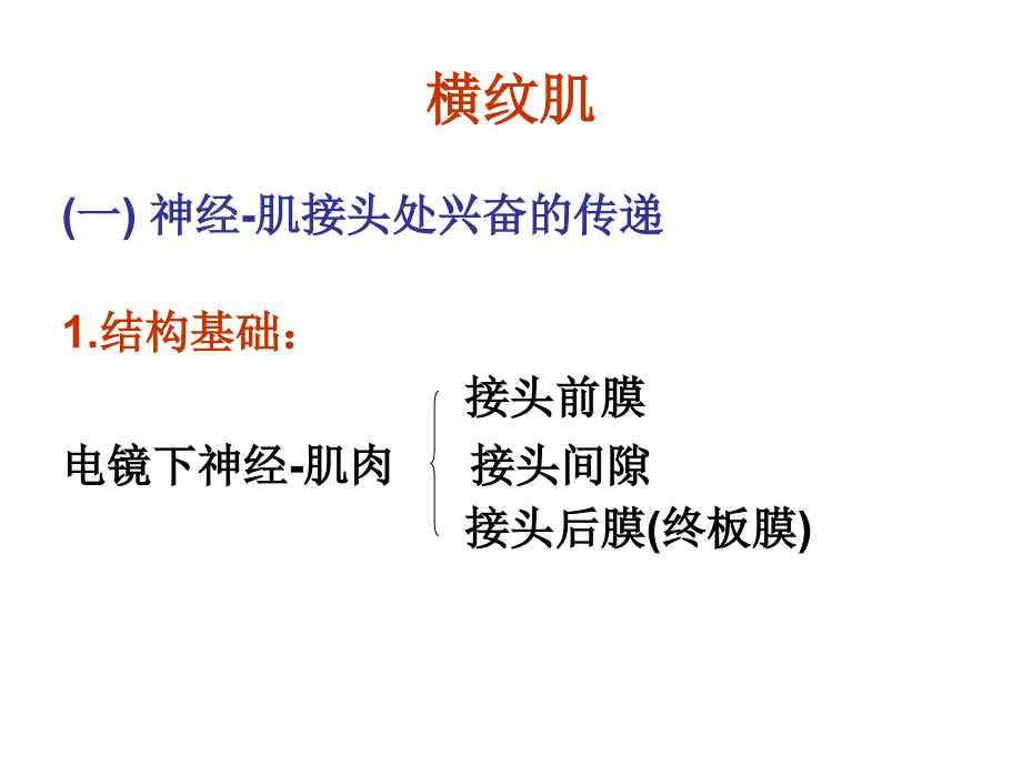 肌细胞的收缩课件_第3页