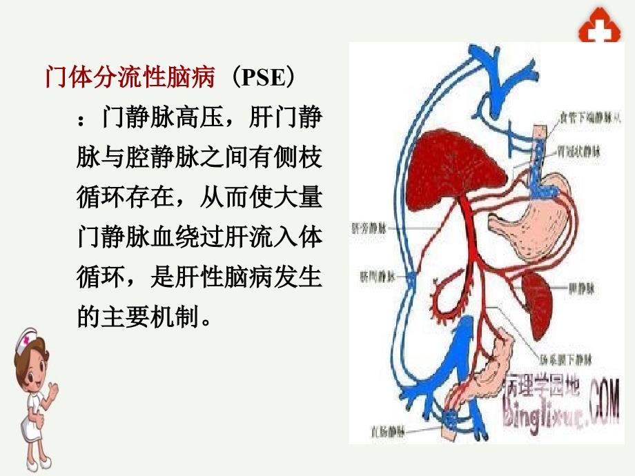 肝性脑病病人的护理ppt_第3页