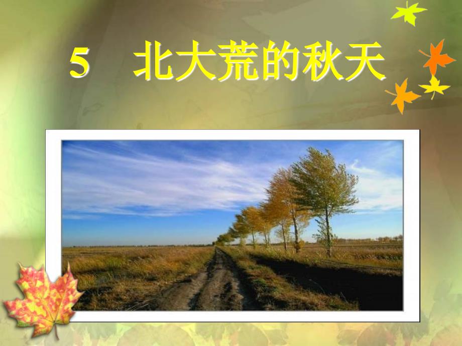 北大荒的秋天 (3)_第1页
