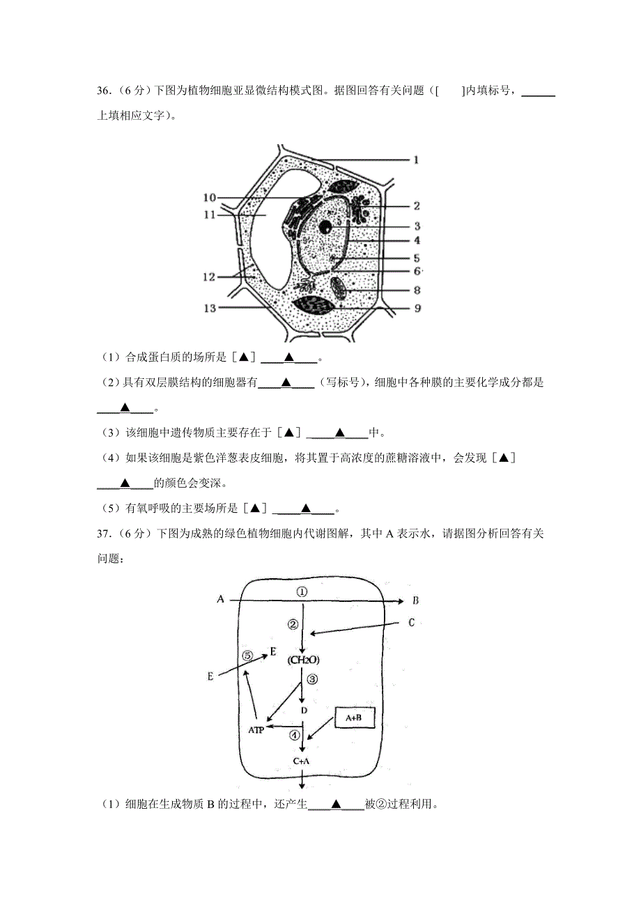 江苏省如皋市2010-2011年高一生物第一学期期末调研试卷_第4页