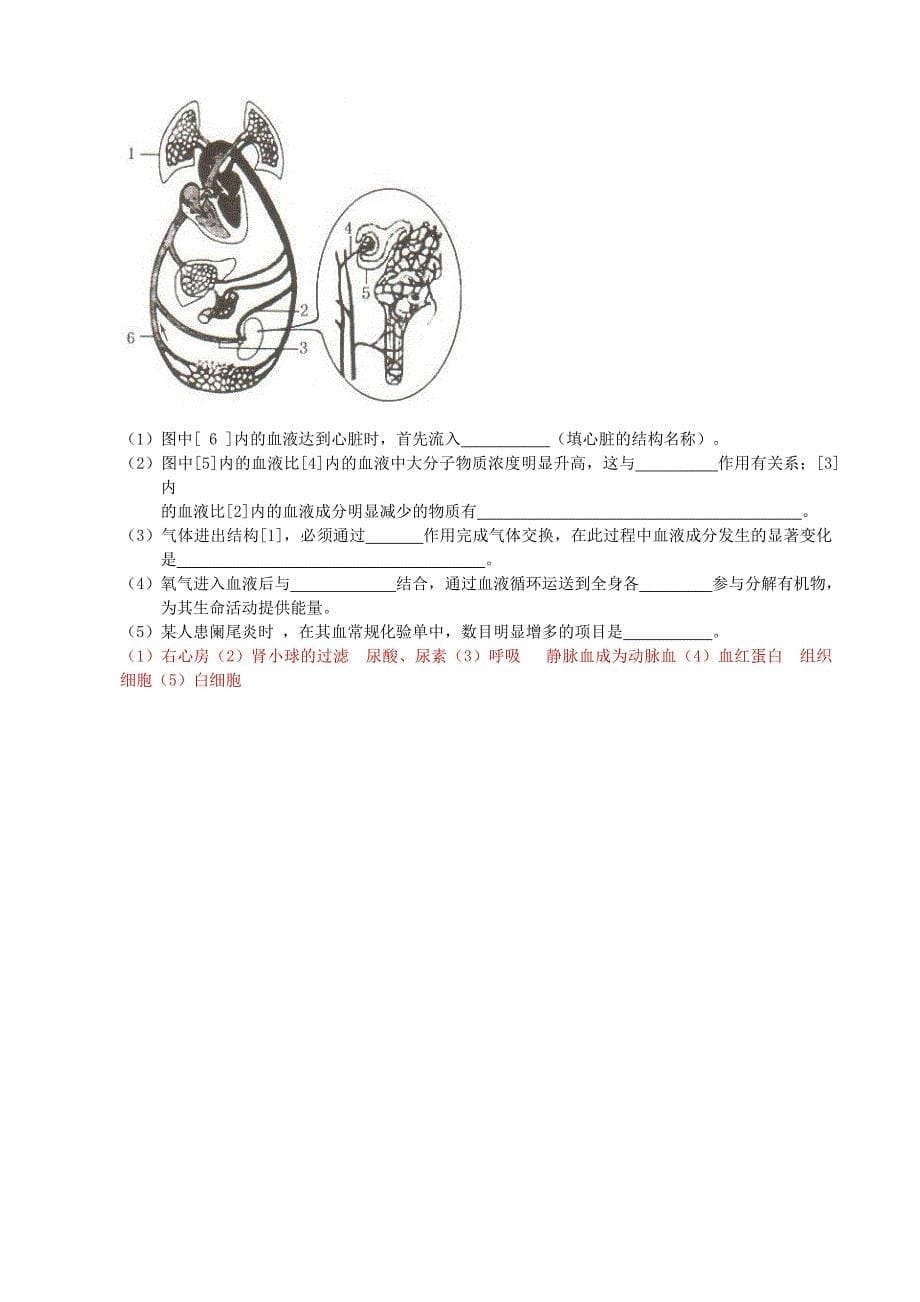 精选类山东省菏泽市202x年中考生物学业水平考试试题_第5页