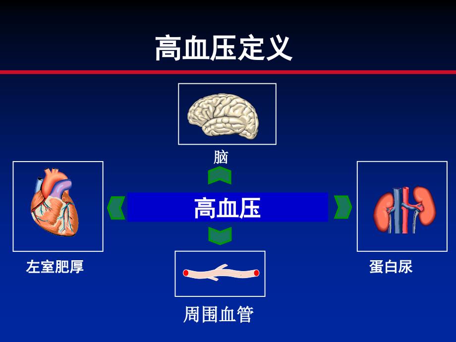 高血压的药物治疗、管理与达标吴同果主任_第3页