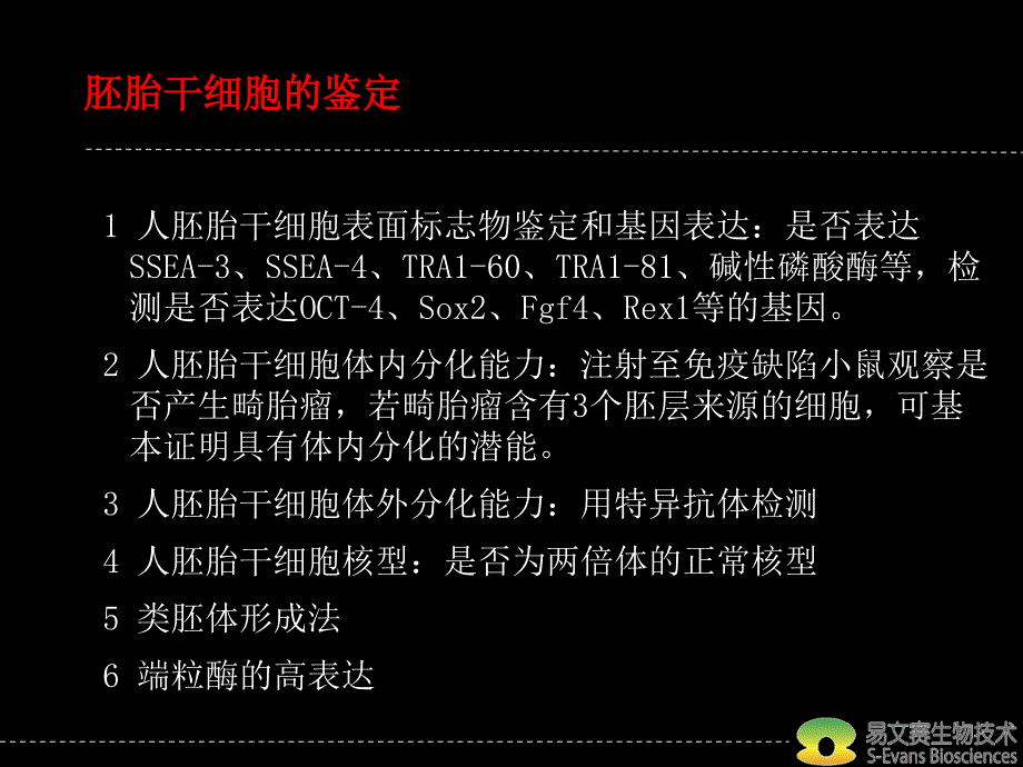 《干细胞标志物》PPT课件.ppt_第3页