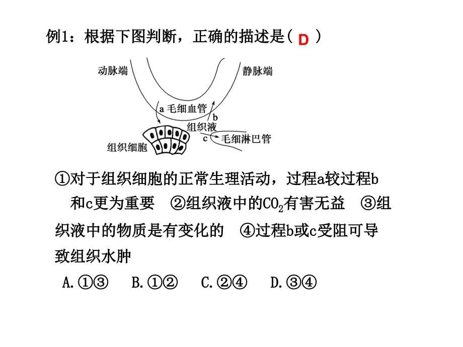 必修三第一章第一节细胞生活的环境1_第5页