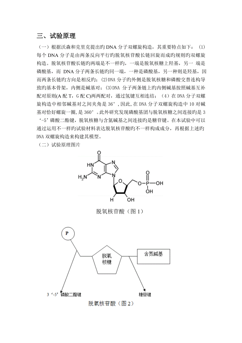 制作DNA双螺旋结构模型_第4页