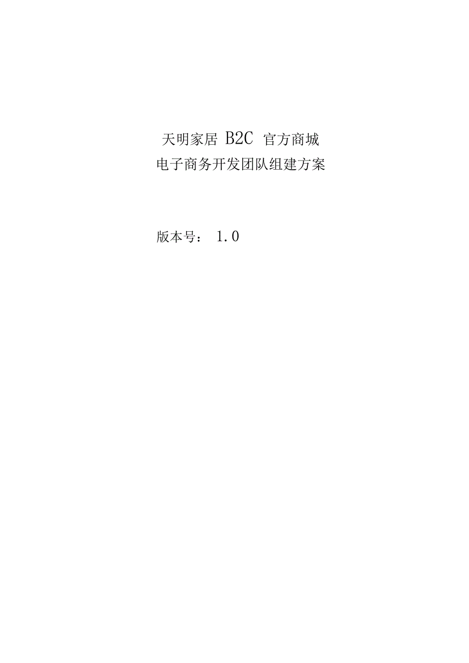 电子商务开发团队组建方案_第2页